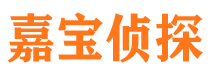 仲巴市调查公司